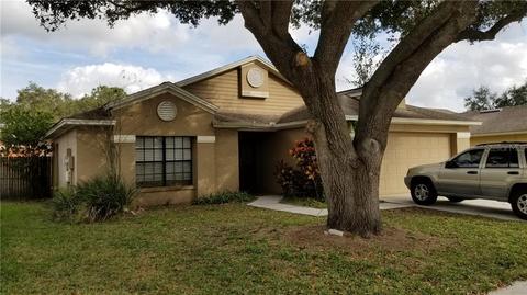 11903 Cedarfield Dr, Riverview, FL 33579 photo 1
