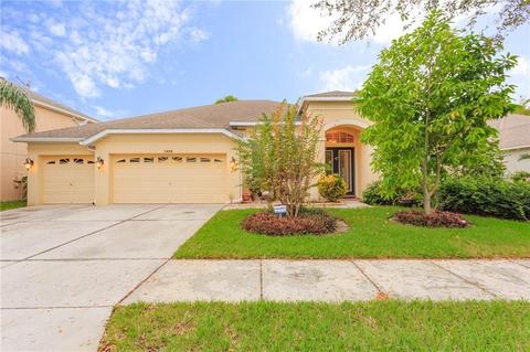 11448 Dutch Iris Dr, Riverview, FL 33578 photo 1