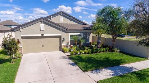 11526 Blue Crane St, Riverview, FL 33569 photo 1