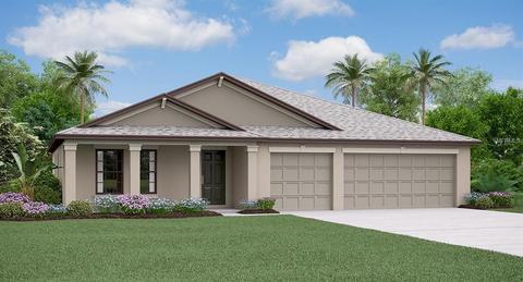 11108 Carlton Fields Dr, Riverview, FL 33579 photo 1