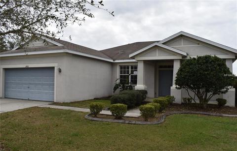11406 Bridge Pine Dr, Riverview, FL 33569 photo 1
