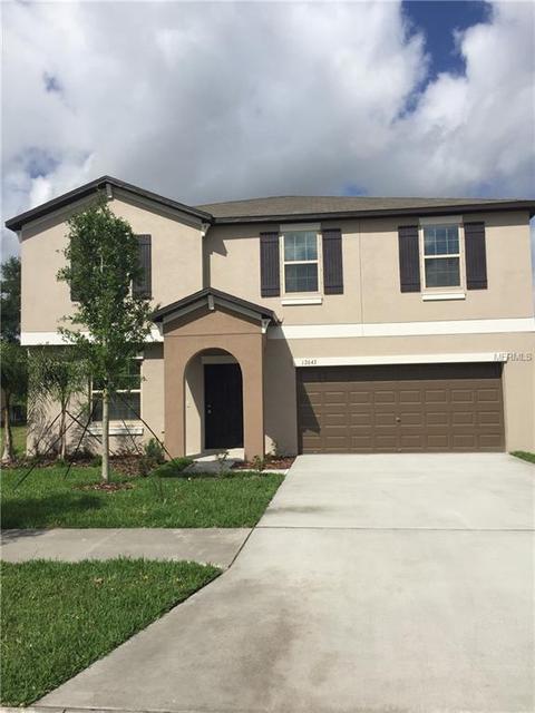 12643 Lemon Pepper Dr, Riverview, FL 33578 photo 1