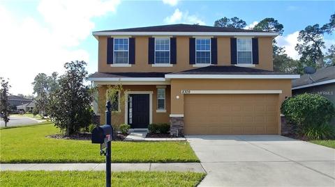 8309 Tidal Breeze Dr, Riverview, FL 33569 photo 1