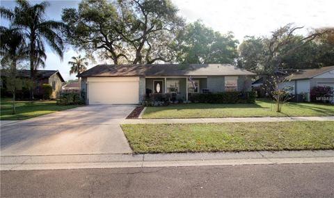 424 Hickory Tree Cir, Seffner, FL 33584 photo 1