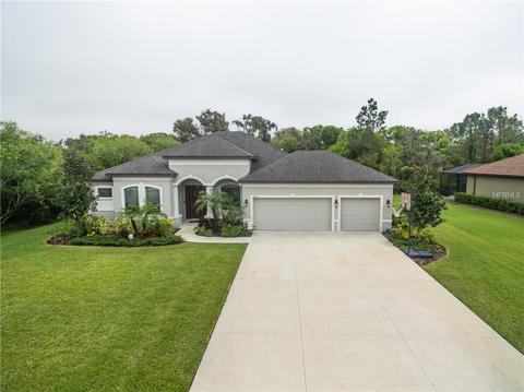 3202 162nd Ave E, Parrish, FL 34219 photo 1