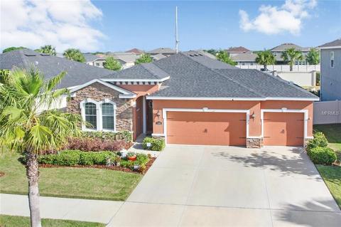 11034 Spring Point Cir, Riverview, FL 33579 photo 1