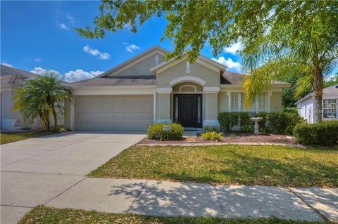13251 Evening Sunset Ln, Riverview, FL 33579 photo 1