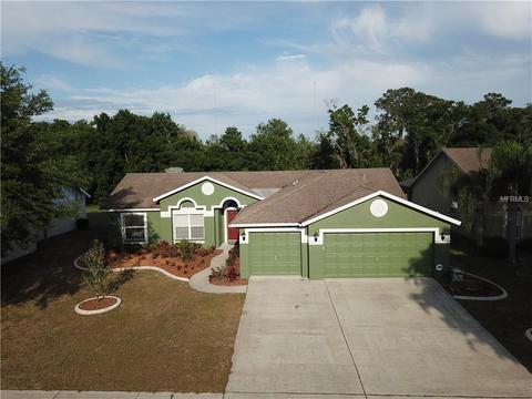 10322 Tarragon Dr, Riverview, FL 33569 photo 1