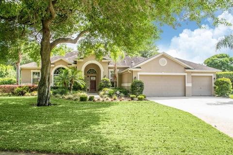 19724 Prince Benjamin Dr, Lutz, FL 33549 photo 1