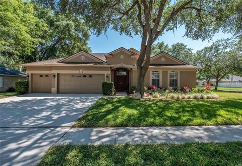 12544 River Birch Dr, Riverview, FL 33569 photo 1