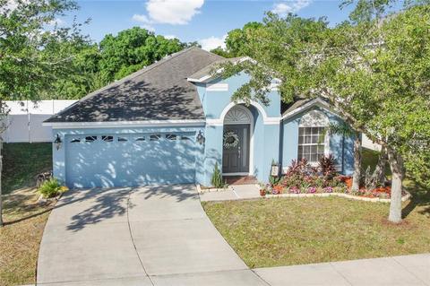 11533 Addison Chase Dr, Riverview, FL 33579 photo 1