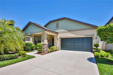 14246 Blue Dasher Dr, Riverview, FL 33569 photo 1