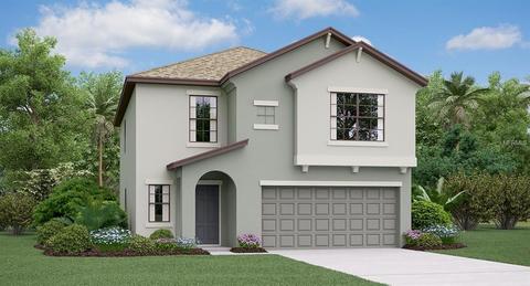 12732 Lemon Pepper Dr, Riverview, FL 33578 photo 1