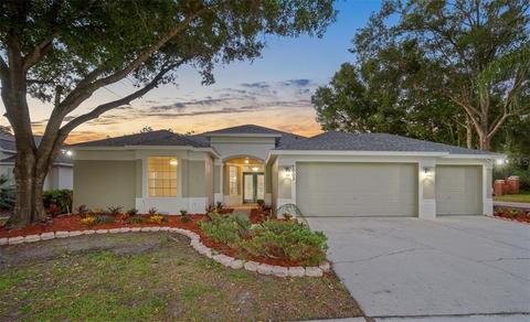 7003 Potomac Cir, Riverview, FL 33578 photo 1