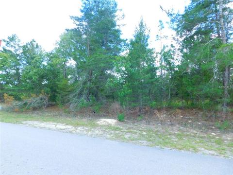 2432 Ring Rd, Spring Hill, FL 34609 photo 1