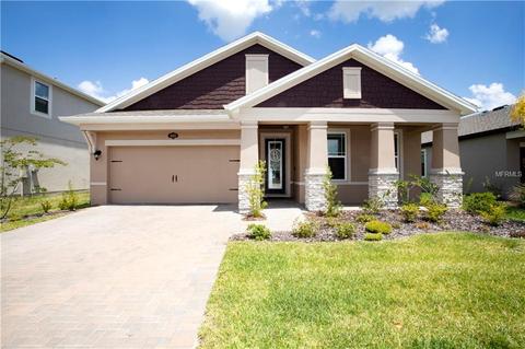 1087 Multiflora Loop, Lutz, FL 33558 photo 1