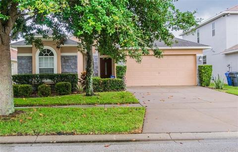 11203 Denmore Ln, Riverview, FL 33579 photo 1