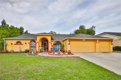 11325 Andy Dr, Riverview, FL 33569 photo 1