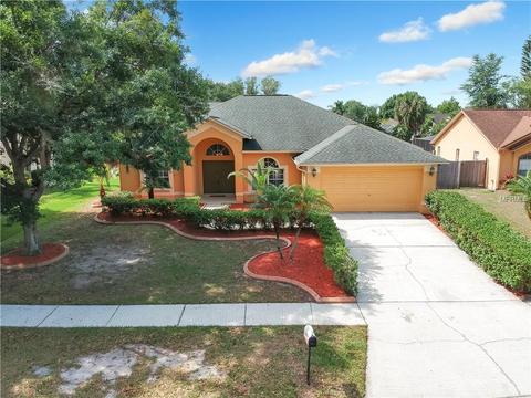 10218 Evening Trail Dr, Riverview, FL 33569 photo 1