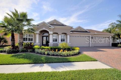 11803 Newberry Grove Loop, Riverview, FL 33579 photo 1