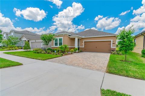 12371 Streambed Dr, Riverview, FL 33579 photo 1