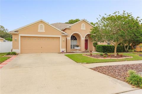 10205 Ashley Oaks Dr, Riverview, FL 33578 photo 1