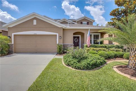 12902 Tikal Way, Trinity, FL 34655 photo 1