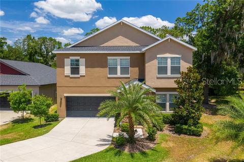 14262 Blue Dasher Dr, Riverview, FL 33569 photo 1