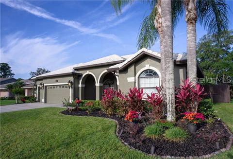 6618 Thoroughbred Loop, Odessa, FL 33556 photo 1
