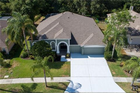 9114 Callaway Dr, Trinity, FL 34655 photo 1