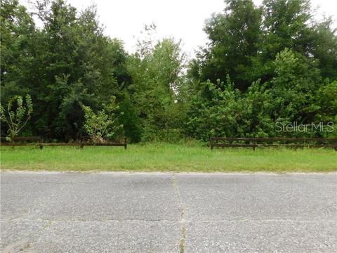 2811 Al Simmons Rd, Dover, FL 33527 photo 1