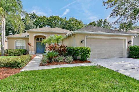 10008 Cannon Dr, Riverview, FL 33578 photo 1