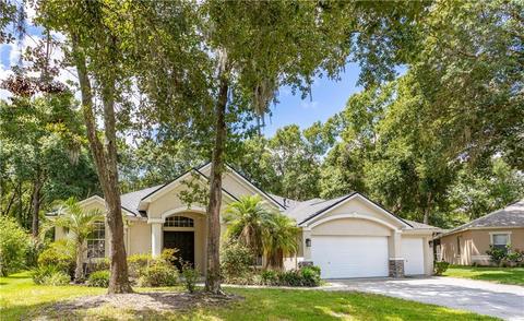 12612 River Birch Dr, Riverview, FL 33569 photo 1