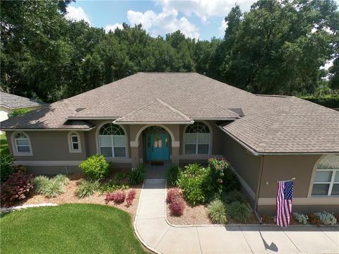 4705 White Cliff Pl, Dover, FL 33527 photo 1