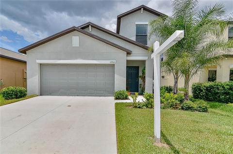 12764 Lemon Pepper Dr, Riverview, FL 33578 photo 1
