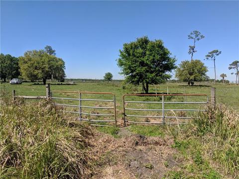 8335 Alturas Rd, Bartow, FL 33830 photo 1
