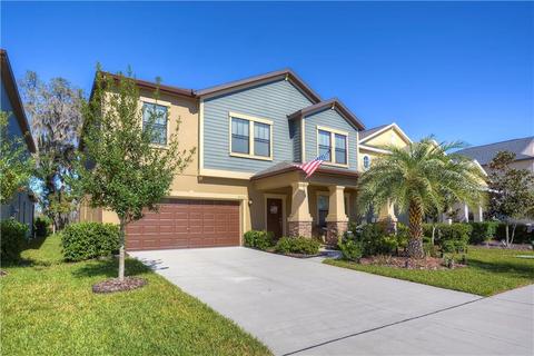 14216 Blue Dasher Dr, Riverview, FL 33569 photo 1
