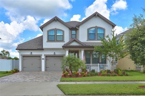 12318 Streambed Dr, Riverview, FL 33579 photo 1