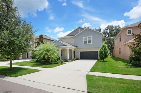 11810 Twilight Darner Pl, Riverview, FL 33569 photo 1