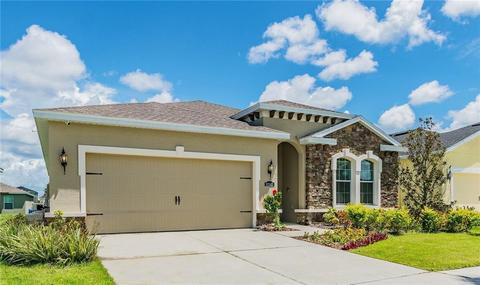 11143 Spring Point Cir, Riverview, FL 33579 photo 1