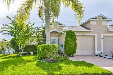 13320 Ashbark Ct, Riverview, FL 33579 photo 1