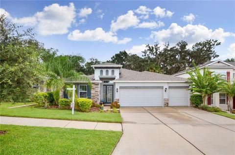 6702 Riverside Bluffs Dr, Riverview, FL 33578 photo 1