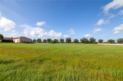 18107 Prairie Wolf Gln, Parrish, FL 34219 photo 1