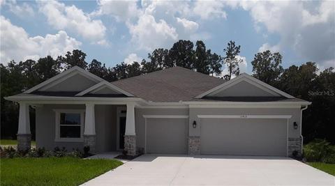 12425 Brick Cobblestone Dr, Riverview, FL 33579 photo 1
