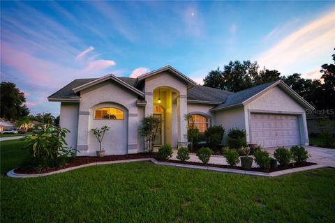 12205 Kelp Ln, Riverview, FL 33569 photo 1