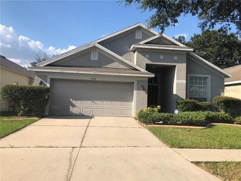11114 Silver Dancer Dr, Riverview, FL 33579 photo 1