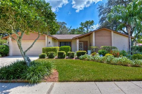 1203 Letona Ln, Valrico, FL 33596 photo 1