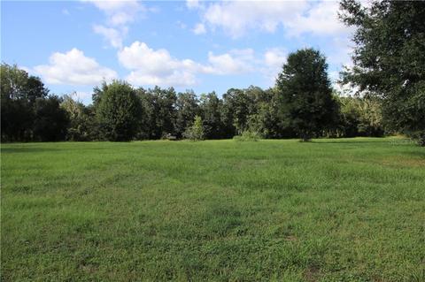 316 Duque Rd, Lutz, FL 33549 photo 1