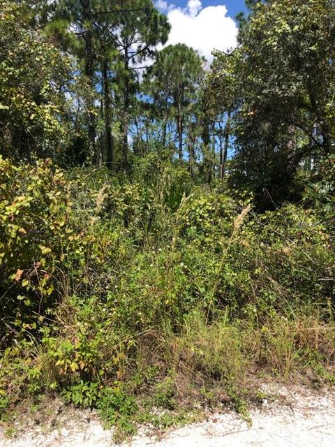 3010 Grand Concourse, Sebring, FL 33875 photo 1
