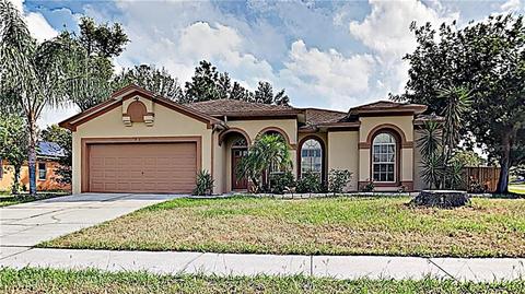 10312 Sedgebrook Pl, Riverview, FL 33569 photo 1